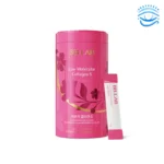 BB Lab Low-molecular Collagen S – 1 Bottle (1 Month Supply, Powder)