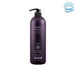 AVCA Perfume Body Lotion Large Capacity 1,000ml