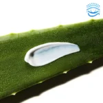 COSRX Aloe Soothing Sun Cream SPF50+/ PA+++ - Image 2