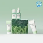 Madagascar Centella Tea-Trica Travel Kit